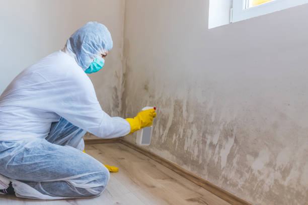 Licensed Mold Inspection service in Ephrata, PA - WQB Mold Removal