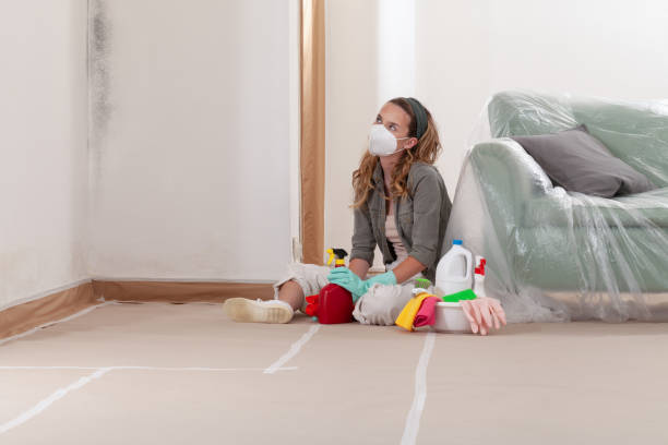 Reliable Mold Inspection contractor in Ephrata, PA by WQB Mold Removal